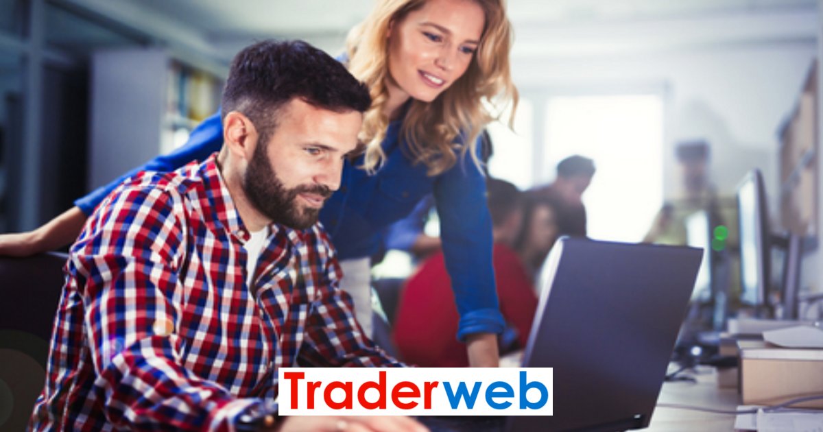 Traderweb start an ironing business